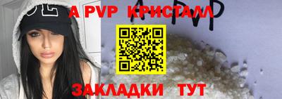 индика Славгород