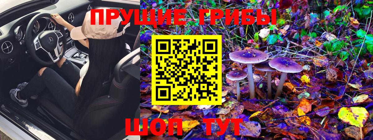Галлюциногенные грибы Magic Shrooms  Вход с VPN  Надым 